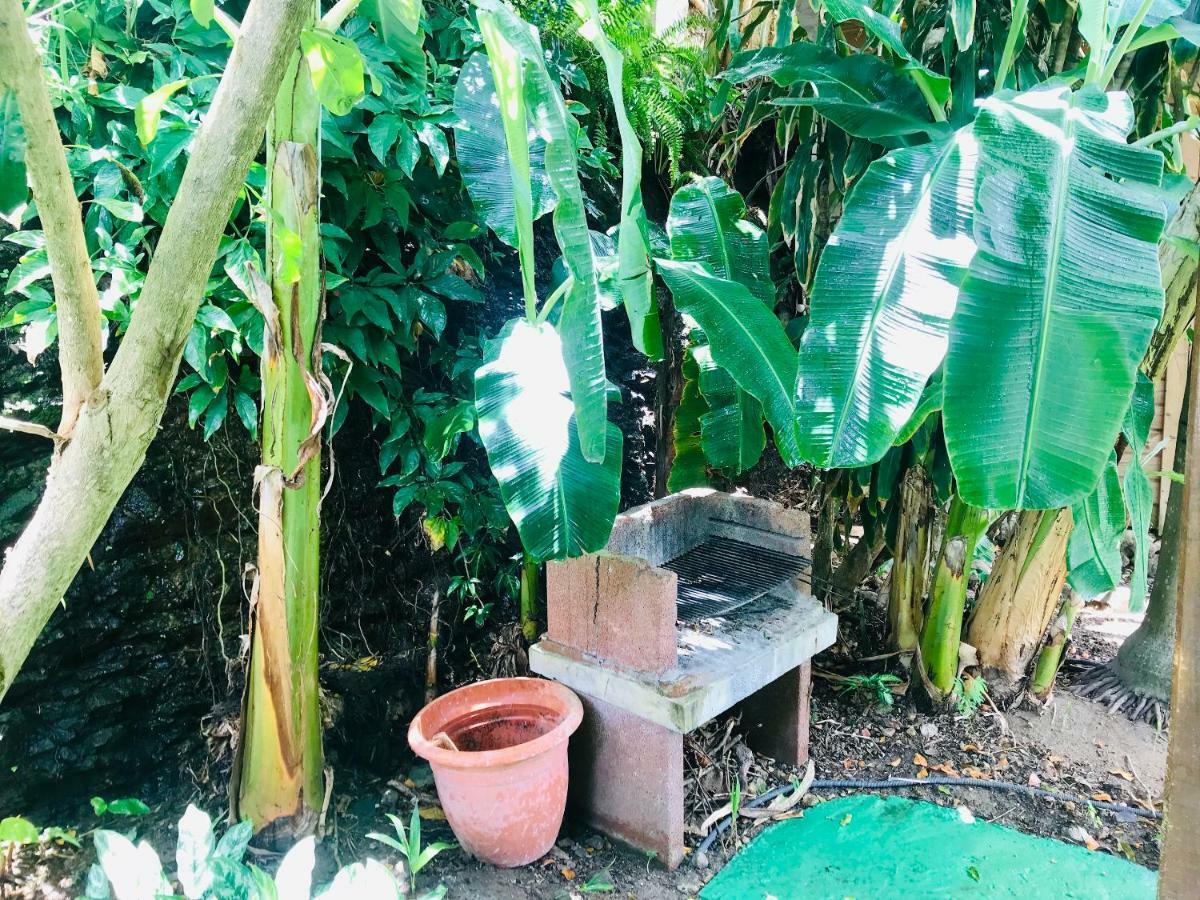 Villa Figues Et Mangos 豪特尔 外观 照片